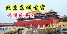 大鸡巴狂草骚逼视频中国北京-东城古宫旅游风景区